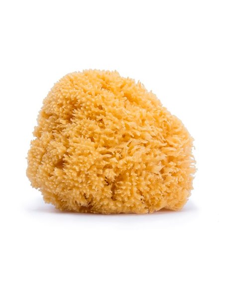 Esponja Natural Grande de Suavinex