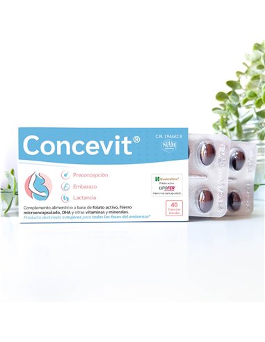 Concevit Preconcepcion 40Cap. de Niam