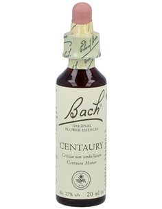 (04) Centaury  de Bach