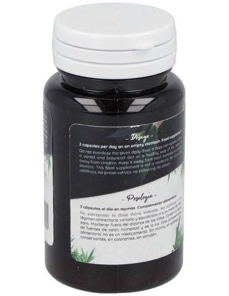 Ferment Slim 60Cap. de Probioticos San