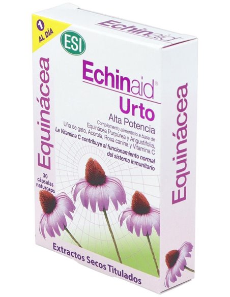 Echinaid Urto 30Cap. de Trepatdiet-Esi