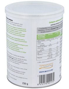 Dynamictendo Colageno 230Gr. de Santiveri