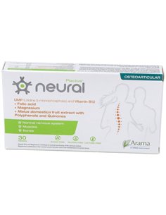 Neural 30Comp. de Arama