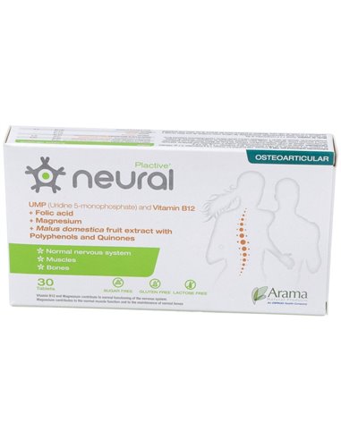 Neural 30Comp. de Arama