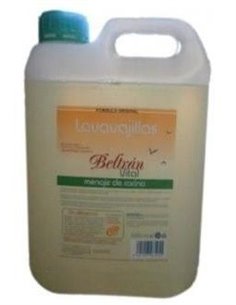 Lavavajillas Multiusos 5L. de Beltran Vital