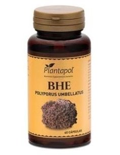 Bhe (Hongo Polyporus Umbellatus, Escaramujo) de Plantapol