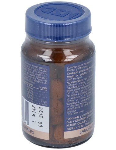 Detox 60Comp. de Gsn