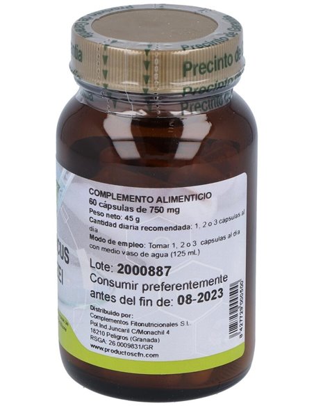 Agaricus Blazei 60Cap. de Cfn