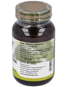 Guanaba (Graviola) 60Cap. de Cfn