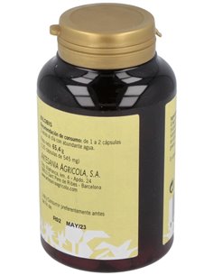 Bilobis Ginkgo Plantis 120 Cap de Artesania