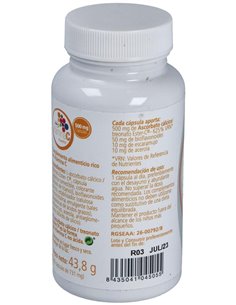 Vitamina C Plantis Ester 60Cap de Artesania