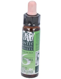 Nº6  Autoestima Eco 10 Ml de Artesania