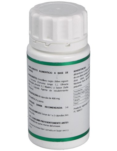 Holofit Flavonoides (Antiinflamatorio) 60Cap. de Equisalud