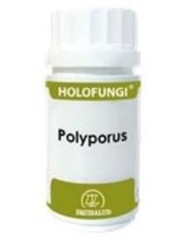 Holofungi Polyporus 180Cap. de Equisalud