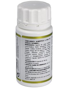 Holofungi Micelium 50Cap. de Equisalud