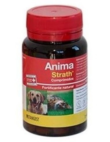 Anima Strath Perros Y Gatos 120Comp. de Stangest Vet