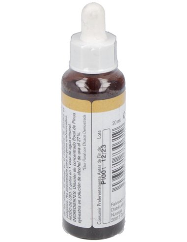 Pine 20Ml. de Elidyn