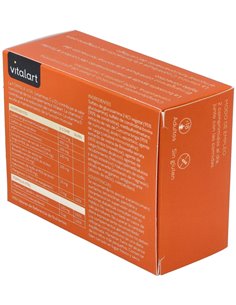 Vitalart Articular 60 Comp. de Vitalart