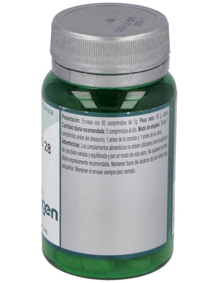 Base Definido 28 60Comp. de Erlingen