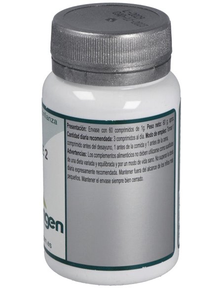 Base 2 60Comp. de Erlingen