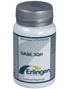 Base 3Qh 60Comp. de Erlingen