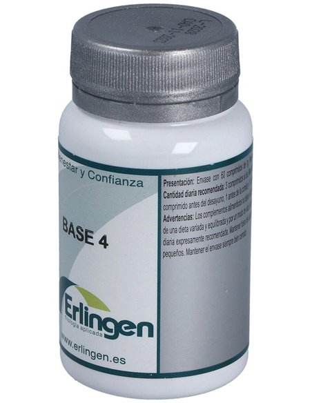 Base 4 60Comp. de Erlingen