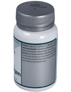 Base 8 60Comp. de Erlingen