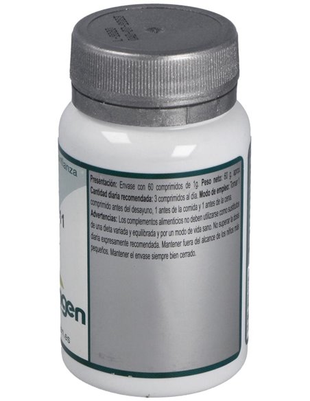 Base 11 60Comp. de Erlingen