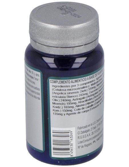 Especifico 171 60Comp. de Erlingen