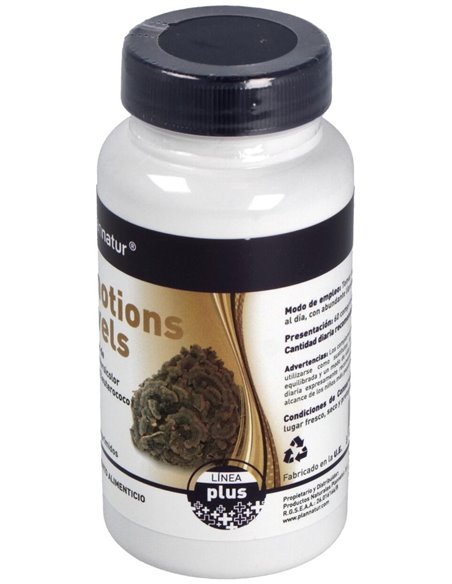 Emotions Level 60Comp. de Plannatur