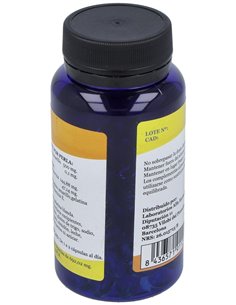 Espino Amarillo Omega 7 90Perlas de Alfa Herbal