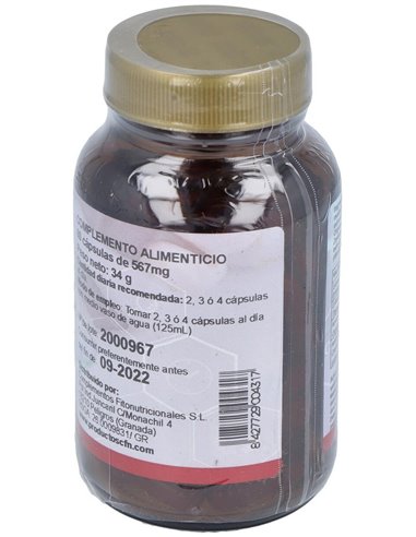 Fgb Complex (Fungibacter) 60Cap. de Cfn