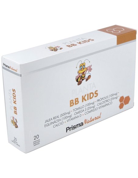 Planta Bb Kids 20Amp. de Prisma Natural
