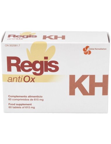 Regis K H 60Comp. de Global Remediation