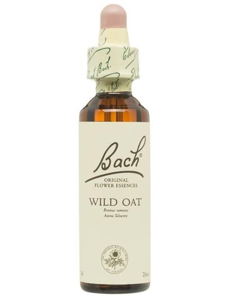 (36) Wild Oat  de Bach