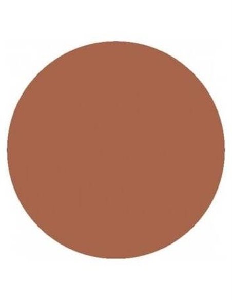 Base De Maquillaje En Barra Tan 6 Gramos Vegano Benecos