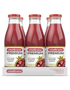 Anti-Ox Wild Blueberry Discos Faciales Exfoli. 20U de Natura Siberica