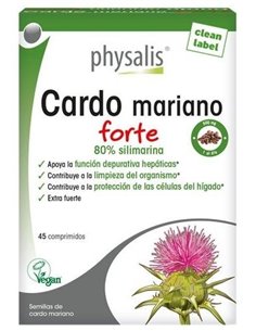 Cardo Mariano Forte 45Comp. de Physalis