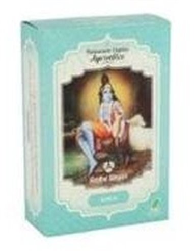 Champu Amla Ayurvedico Polvo 100Gr. Eco de Radhe Shyam