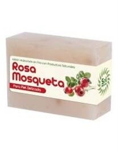 Rosa Mosqueta 100 g  de Solnatural