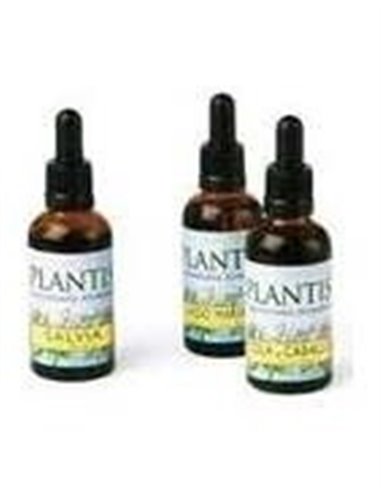 Extracto Ginkgo Plantis 50 Ml de Artesania