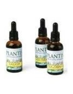 Ext Zarzaparilla Plantis 50 Ml de Artesania