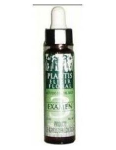 Nº3 Examen Eco Plantis 10 Ml de Artesania