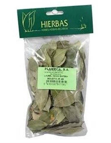 Laurel Hoja Entera Bolsa 25Gr. de Plameca