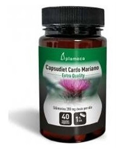 Cardo Mariano Capsudiet 40Cap. de Plameca