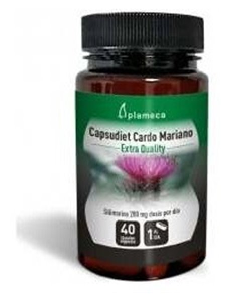 Cardo Mariano Capsudiet 40Cap. de Plameca