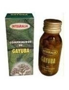 Gayuba Extracto 60Cap. de Integralia