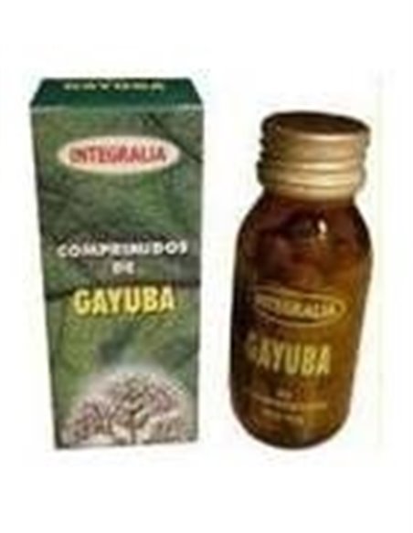Gayuba Extracto 60Cap. de Integralia