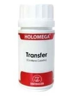 Holomega Transfer 50Cap. de Equisalud