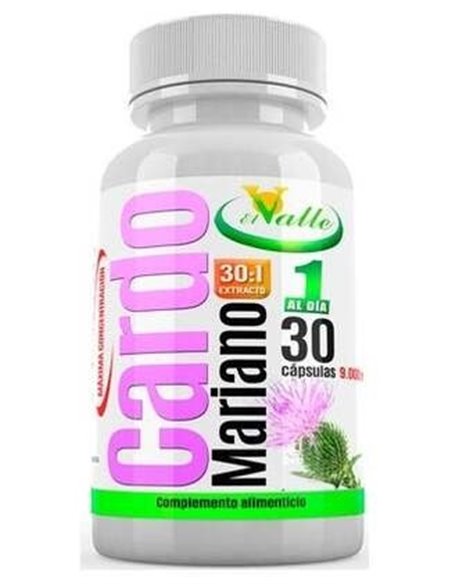Cardo Mariano 30Cap. de El Valle